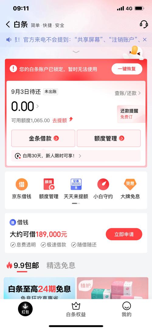 如何快速查询京东白条欠款金额