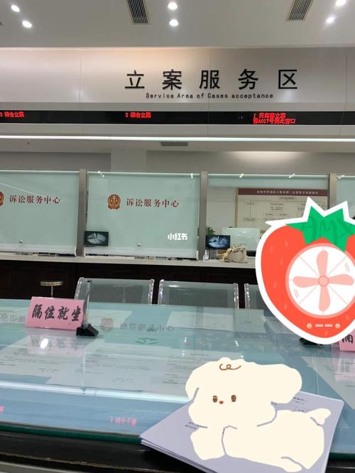 中腾信说起诉法院需要注意哪些事项