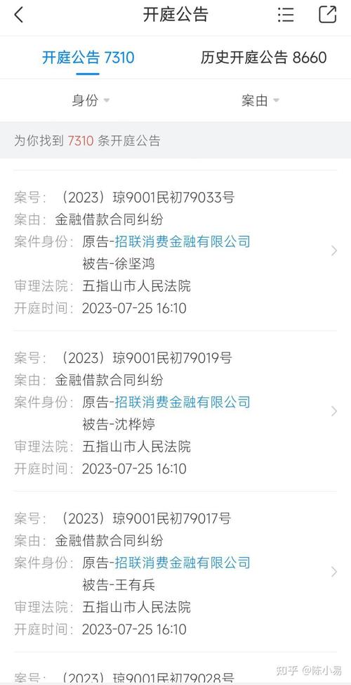 招联金融起诉真实案例分析与解读