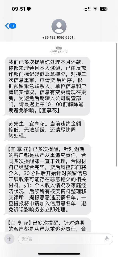 畅行花不还会被起诉吗?相关法律风险解析