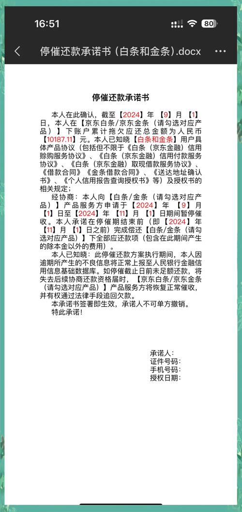 京东贷款延期还款申请需要注意哪些事项
