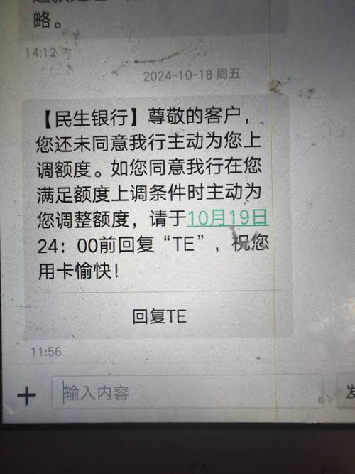 民生银行起诉金额是多少？具体情况分析