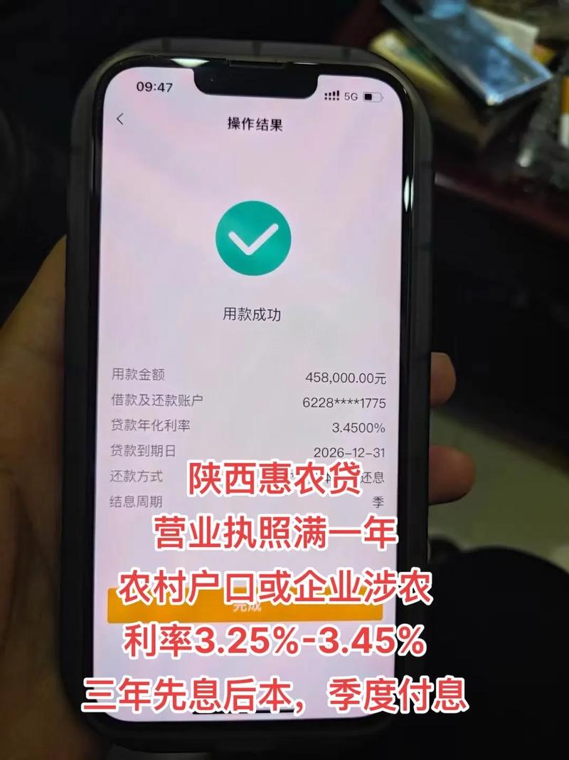 惠农e贷十年没还了该怎么办