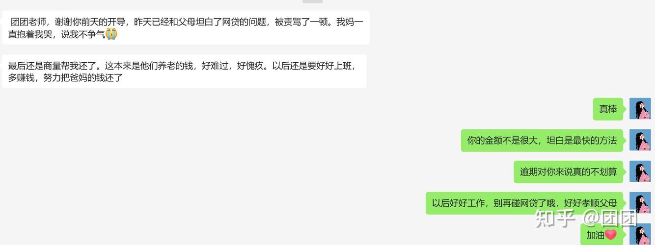 欠网贷25万如何坦白并解决